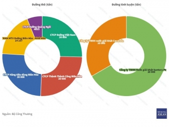 Phân giao hạn ngạch nhập khẩu đường theo phương thức đấu giá