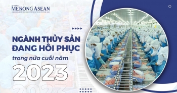 Ngành thủy sản đang hồi phục trong nửa cuối năm 2023