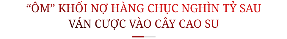 Bầu Đức và một thập kỷ giải bài toán trồng cây nào, nuôi con gì