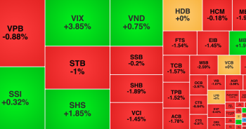 VN-Index suýt mất mốc 1.100 điểm, VIX tăng mạnh sau khi báo lãi lớn