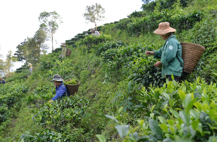 Nghệ An quan t&acirc;m triển khai bố tr&iacute; đất ở, đất sản xuất cho đồng b&agrave;o d&acirc;n tộc thiểu số. Ảnh minh họa: Th&agrave;nh Cường