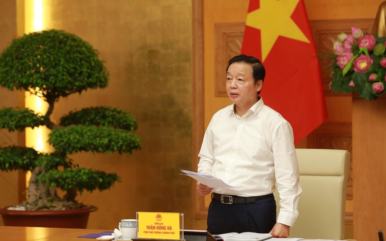 Ph&oacute; Thủ tướng Ch&iacute;nh phủ Trần Hồng H&agrave; ph&aacute;t biểu chỉ đạo tại cuộc họp. Nguồn: VGP.