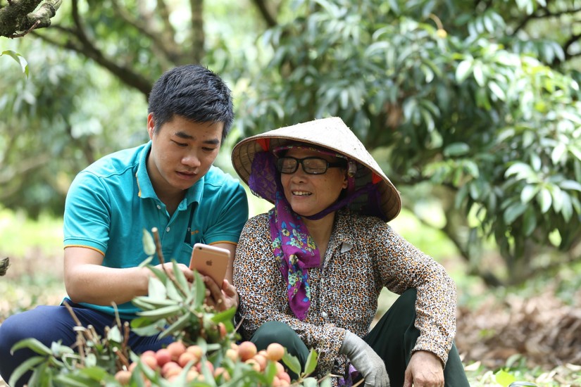 Đưa hộ sản xuất n&ocirc;ng nghiệp l&ecirc;n s&agrave;n thương mại điện tử.