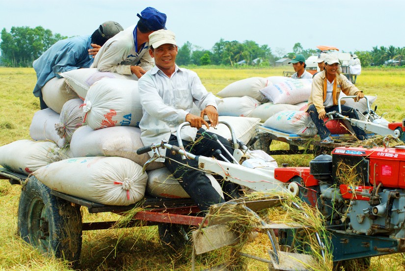 Ảnh minh họa.