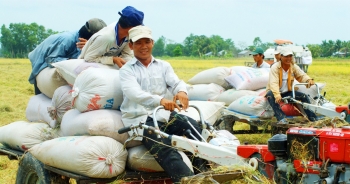 Sửa Luật Hợp tác xã: Cần chính sách ưu đãi mạnh mẽ, trọng tâm hơn