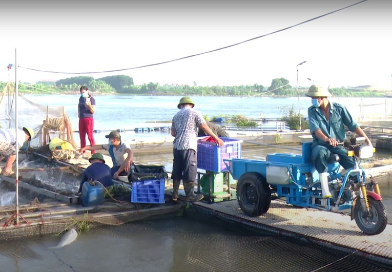 Những năm gần đ&acirc;y, c&aacute;c hộ n&ocirc;ng d&acirc;n đ&atilde; li&ecirc;n tục ứng dụng c&aacute;c tiến bộ khoa học, kỹ thuật trong chăn nu&ocirc;i.