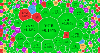 151 mã tím đẩy VN-Index bay cao, VIC tăng gần hết biên độ ngày xuất khẩu xe điện