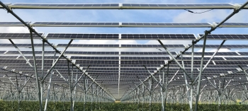 Tiềm năng từ mô hình vừa canh tác nông nghiệp vừa khai thác điện mặt trời