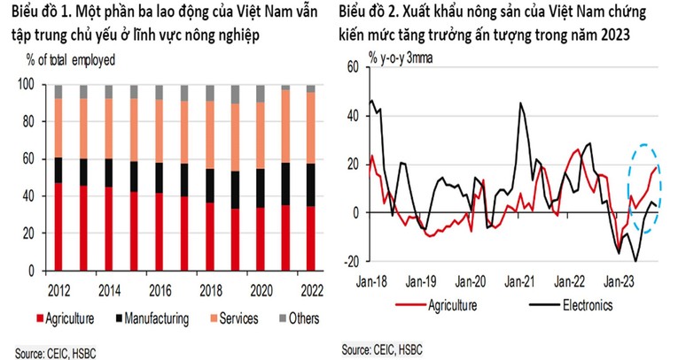 HSBC dự báo xuất khẩu Việt Nam sẽ tăng tốc