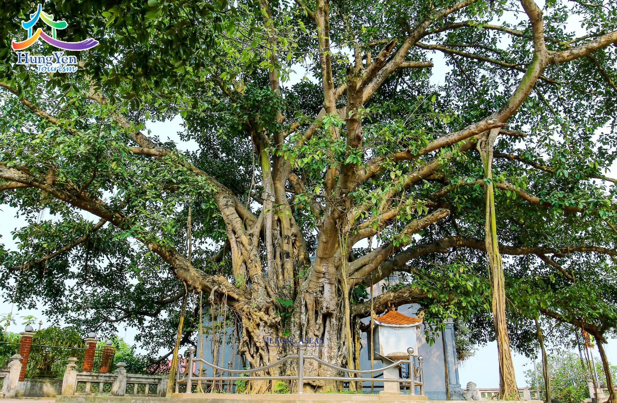 Di t&iacute;ch địa điểm c&acirc;y đa v&agrave; đền La Tiến (huyện Ph&ugrave; Cừ) - nơi ghi dấu chiến c&ocirc;ng của qu&acirc;n v&agrave; d&acirc;n ta trong cuộc kh&aacute;ng chiến chống thực d&acirc;n Ph&aacute;p.