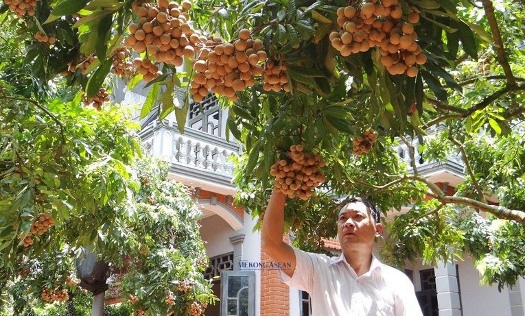 Đến nay to&agrave;n tỉnh Hưng Y&ecirc;n c&oacute; 374 hợp t&aacute;c x&atilde; n&ocirc;ng nghiệp, trong đ&oacute; c&oacute; 149 hợp t&aacute;c x&atilde; tổ chức lại v&agrave; 225 hợp t&aacute;c x&atilde; th&agrave;nh lập mới theo Luật Hợp t&aacute;c x&atilde; năm 2012.