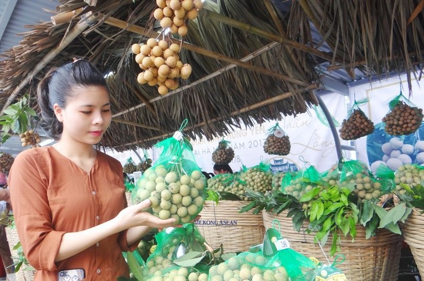 Nhiều lợi &iacute;ch trong chương tr&igrave;nh OCOP ở Hưng Y&ecirc;n