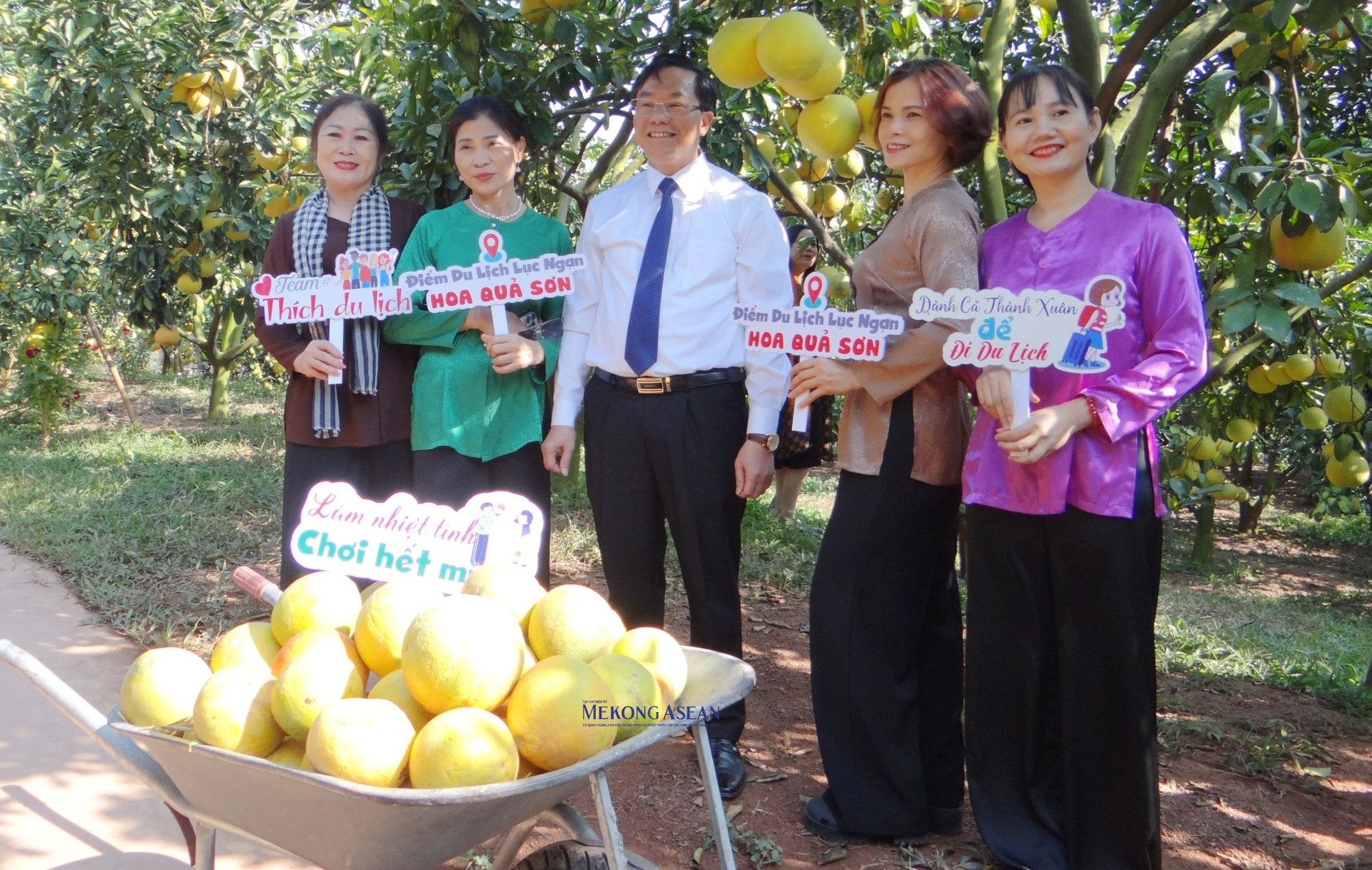 Những vườn c&acirc;y tr&aacute;i xum xu&ecirc;, trĩu quả sẵn s&agrave;ng ch&agrave;o đ&oacute;n du kh&aacute;ch.