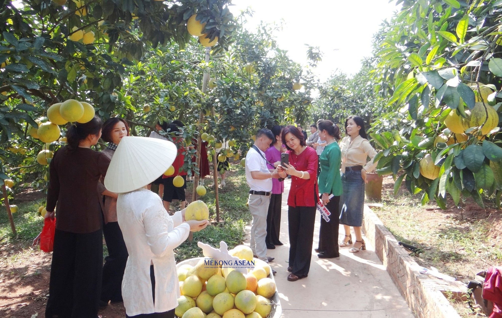 Nhiều hoạt động thu h&uacute;t du kh&aacute;ch tại c&aacute;c điểm du lịch tr&ecirc;n địa b&agrave;n huyện Lục Ngạn.