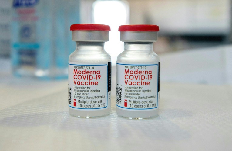 Moderna đ&atilde; chi trả khoản tiền ph&iacute; bản quyền l&ecirc;n tới 400 triệu dựa tr&ecirc;n doanh thu từ vaccine Covid-19 trong 9 th&aacute;ng đầu năm 2021. Ảnh: TTXVN