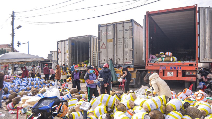 Kh&ocirc;ng n&ecirc;n cho rằng thị trường Trung Quốc c&oacute; gi&aacute; tốt hơn m&agrave; bỏ qu&ecirc;n thị trường nội địa.