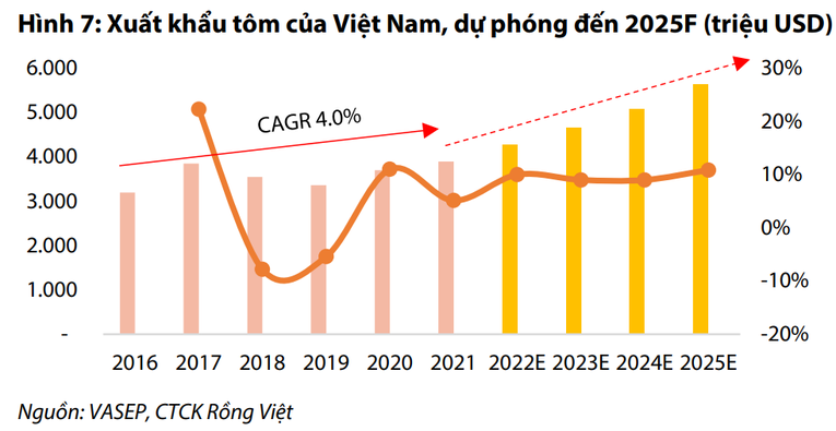 VDSC: 5 năm tới sẽ là chu kỳ tăng trưởng mới của ngành tôm Việt