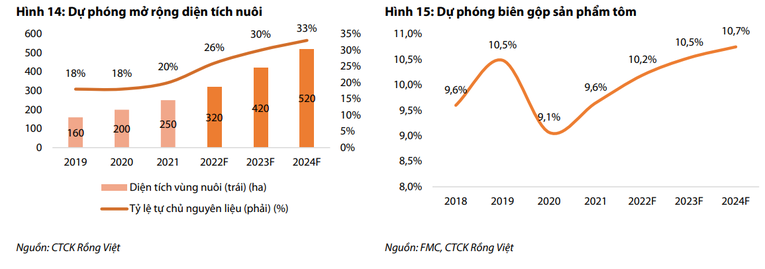 Ảnh: B&aacute;o c&aacute;o VDSC