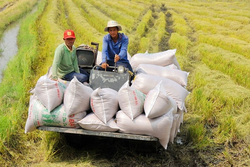 Gạo Việt Nam sẽ c&ograve;n tăng gi&aacute; xuất khẩu trong 2023.