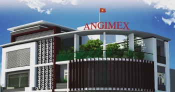 Angimex không thể thanh toán lãi đúng hạn cho một lô trái phiếu