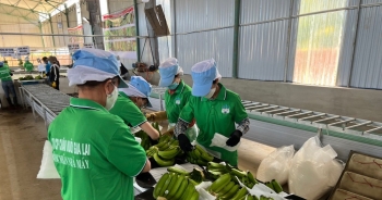 PNJ, Hoàng Anh Gia Lai và loạt doanh nghiệp sớm cán đích lợi nhuận năm