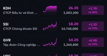 VN-Index lấy lại mốc 1.000 điểm, HPG và hàng loạt cổ phiếu tăng trần