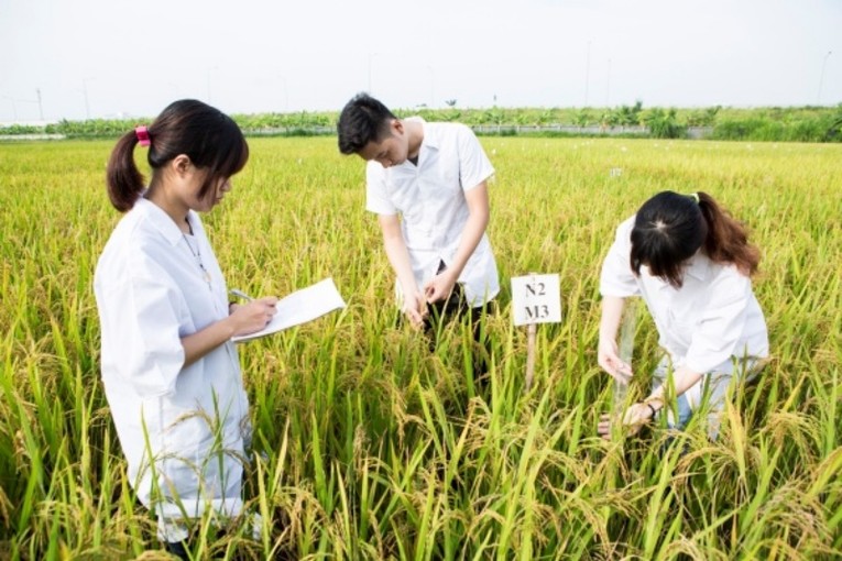 Khoa học n&ocirc;ng nghiệp đ&oacute;ng vai tr&ograve; quan trọng trong ph&aacute;t triển n&ocirc;ng nghiệp, n&ocirc;ng th&ocirc;n.