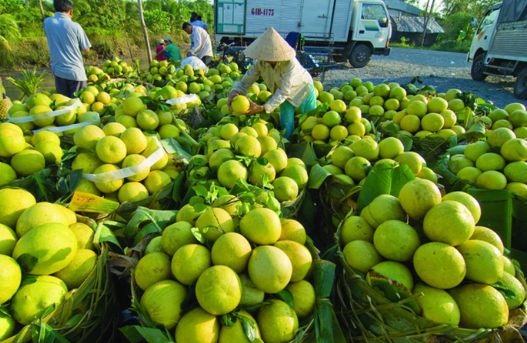 N&ocirc;ng nghiệp chuyển từ n&acirc;u sang xanh.