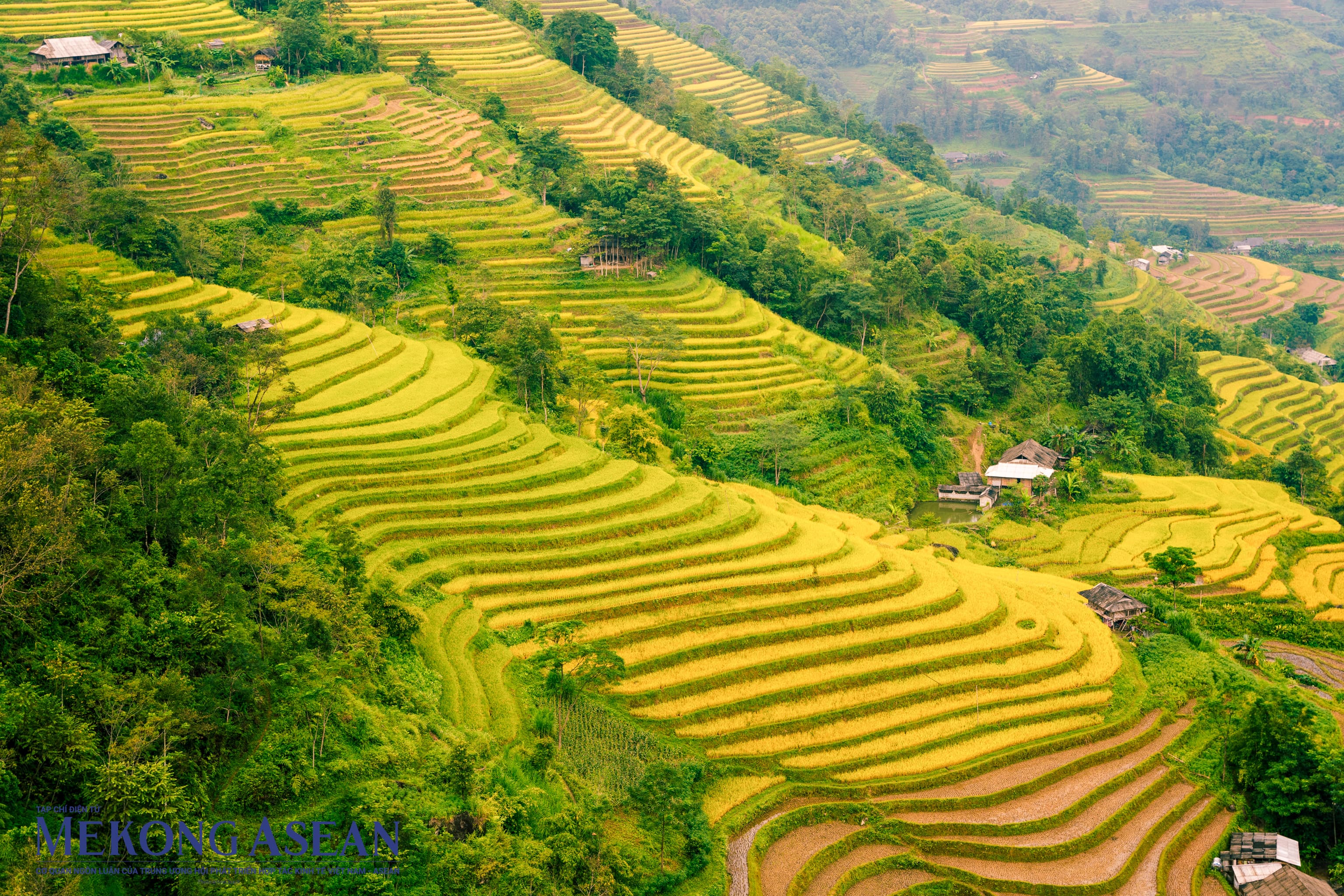 Thương nhớ mảnh đất &apos;đá nở hoa&apos; Hà Giang