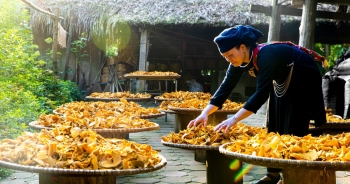 Về làng Thái Hải tìm bản sắc văn hóa Tày