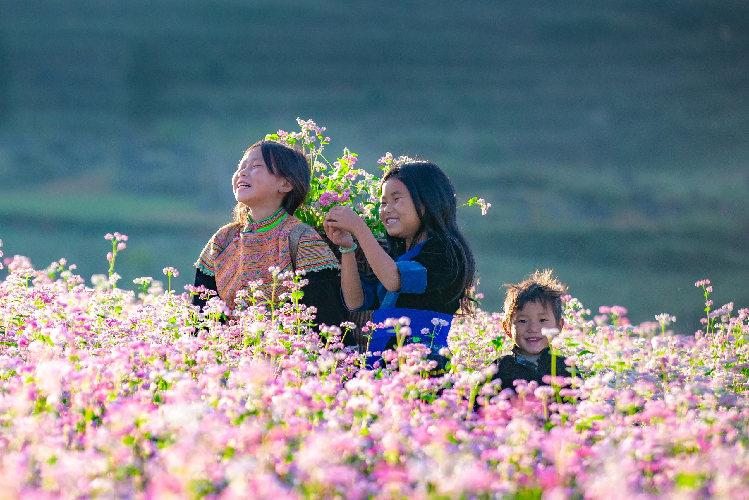 Ngắm nhìn cao nguyên đá nở hoa trên mảnh đất Hà Giang