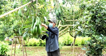 Đắk Nông kiến nghị giải pháp hỗ trợ đất sản xuất cho đồng bào dân tộc thiểu số