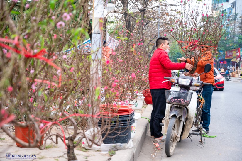 Ảnh minh họa Tết Nguy&ecirc;n đ&aacute;n tại Việt Nam. Ảnh: Qu&aacute;ch Sơn - Mekong ASEAN