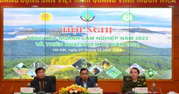 Ngành lâm nghiệp đặt mục tiêu xuất khẩu 2024 vượt trội